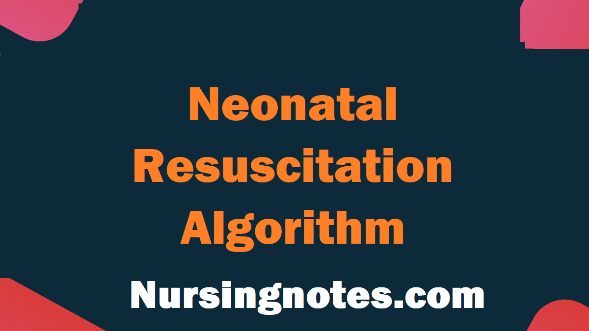 Neonatal Resuscitation Algorithm Pdf Nursingnotes