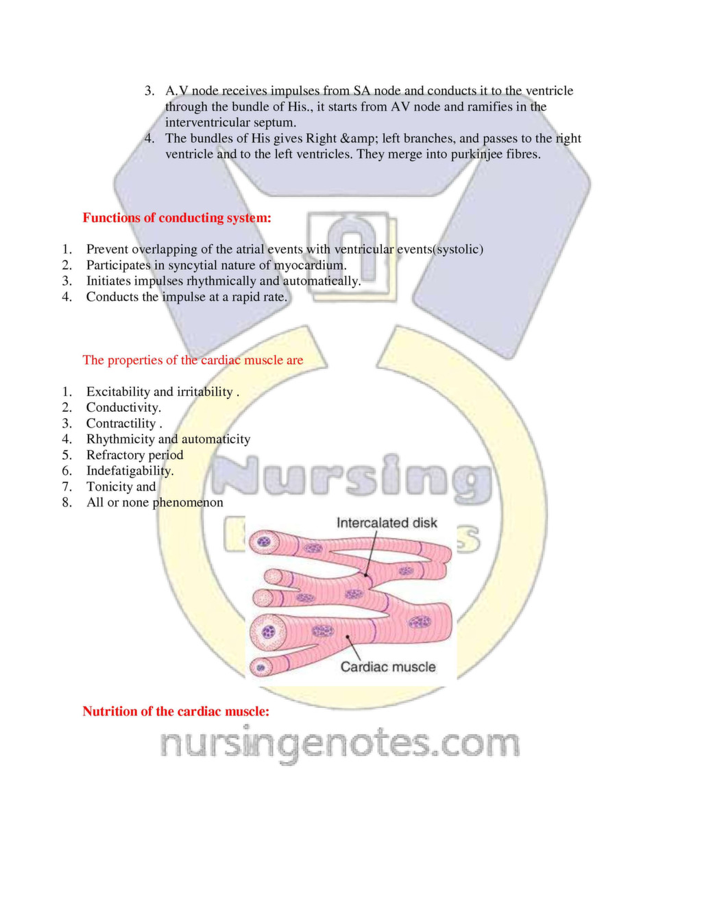 Anatomy And Physiology The Cardiovascular System Nursing Notes