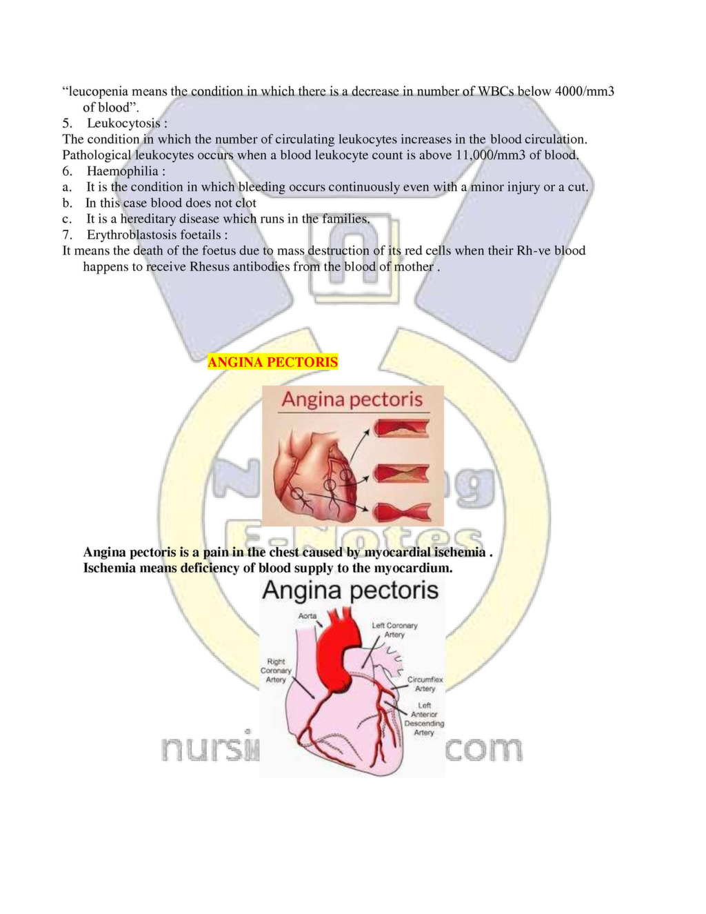 Anatomy And Physiology The Cardiovascular System Nursing Notes