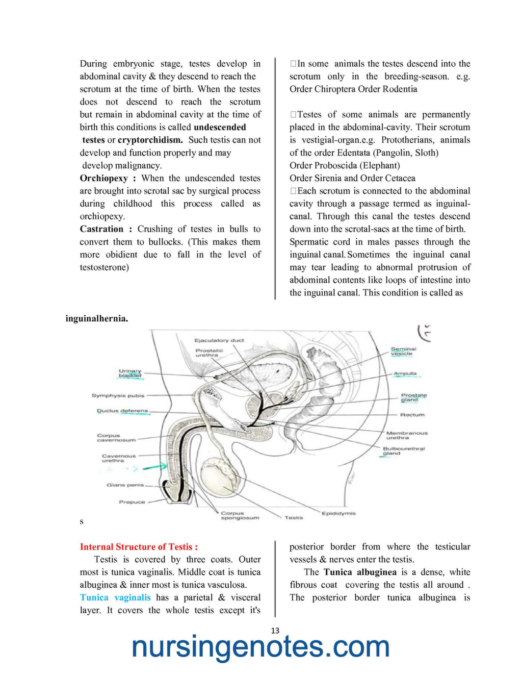 Male And Female Reproductive System Pdf 