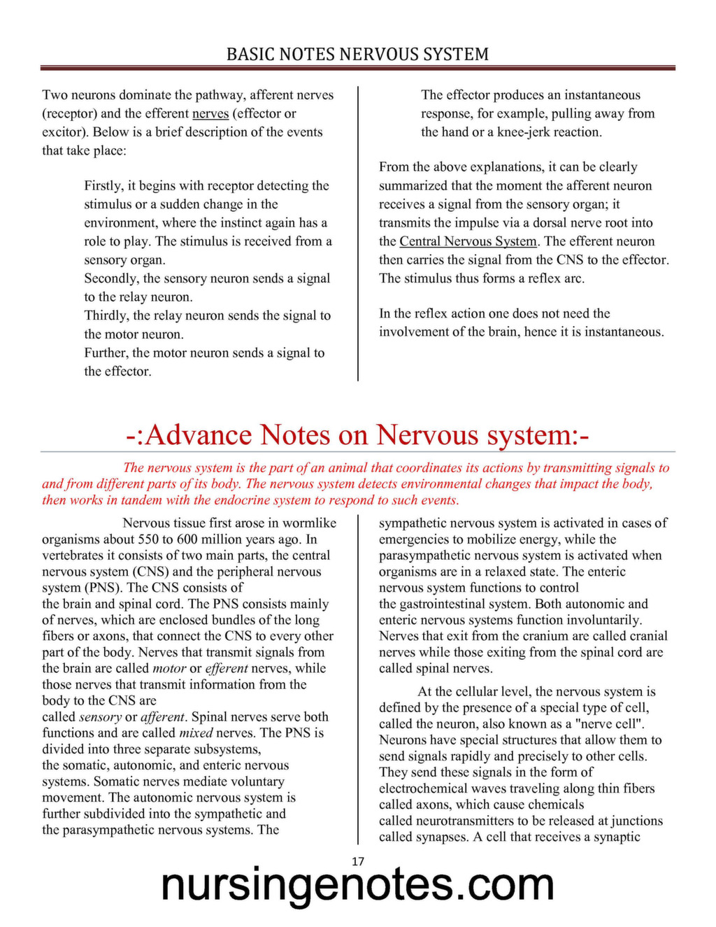 physiology of nervous system notes pdf