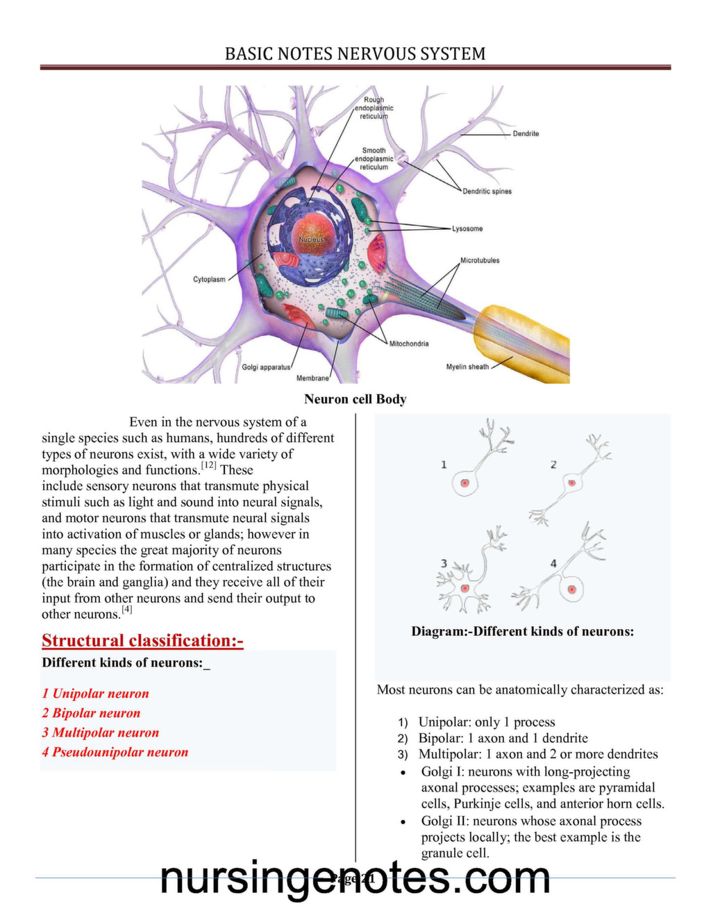 Structure And Function Nervous System PDF - Nursingenotes.com