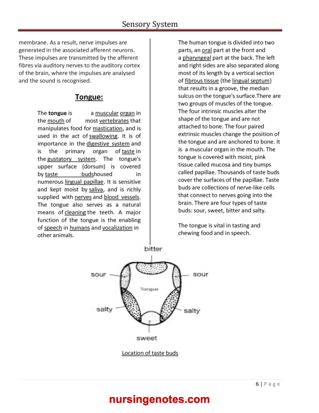 physiology of sense organs pdf