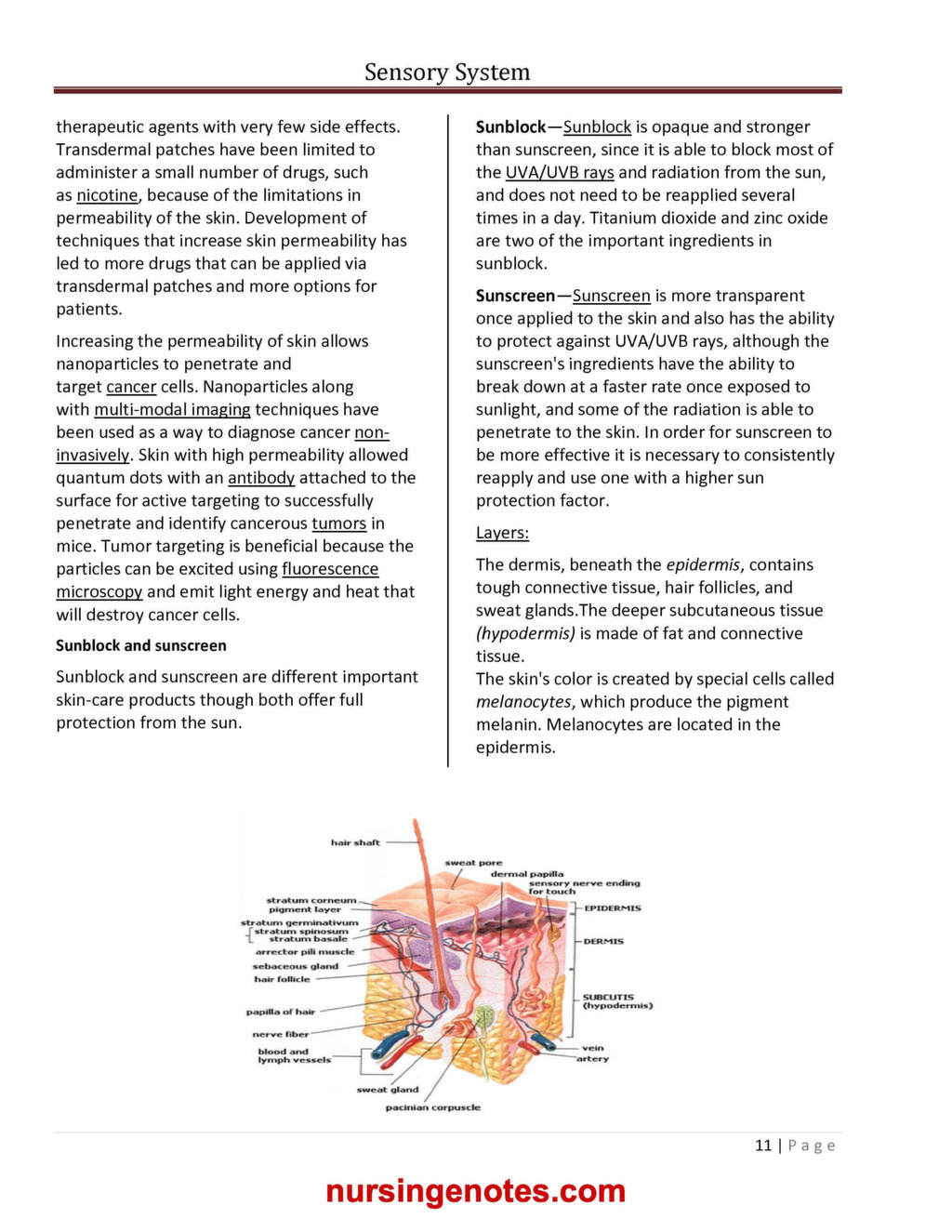 physiology of sense organs ppt