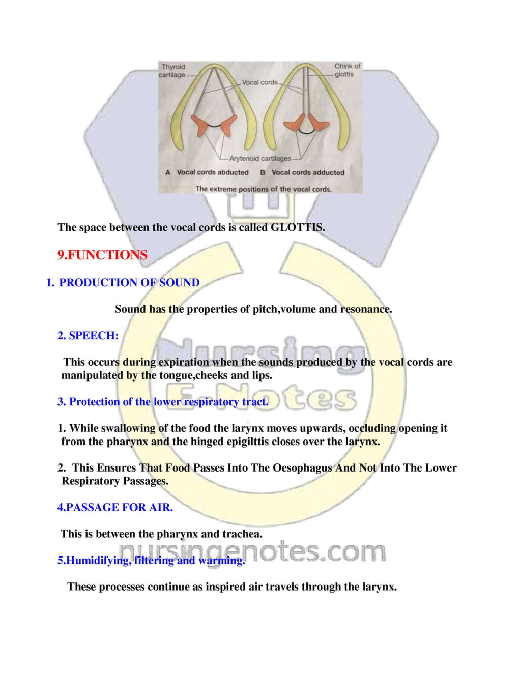 Human Respiratory System Nursing Pdf - Nursingenotes.com