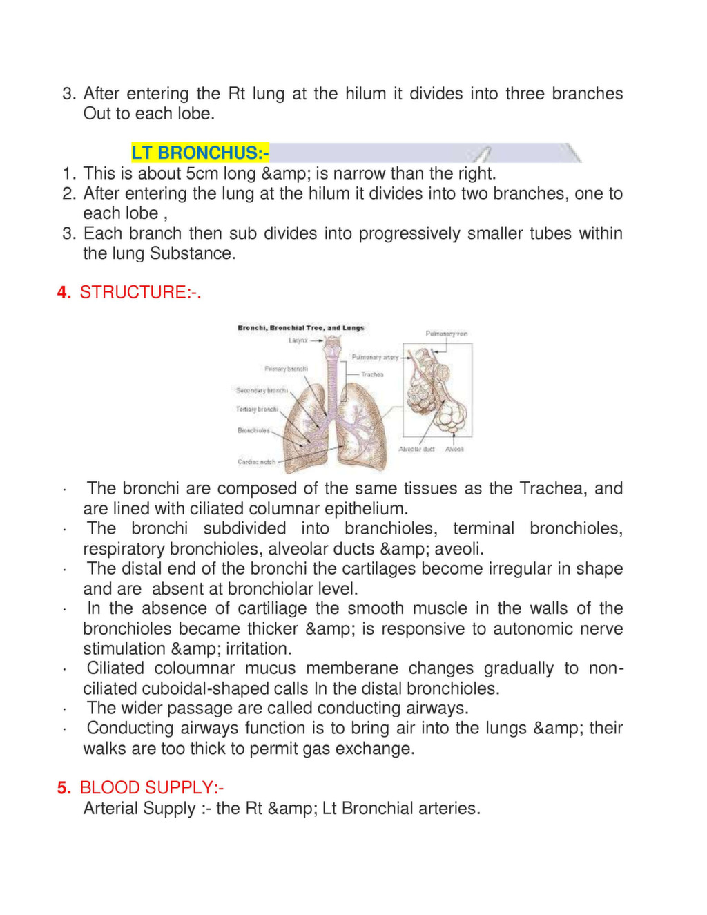 anatomy of respiratory system pdf ppt nursing