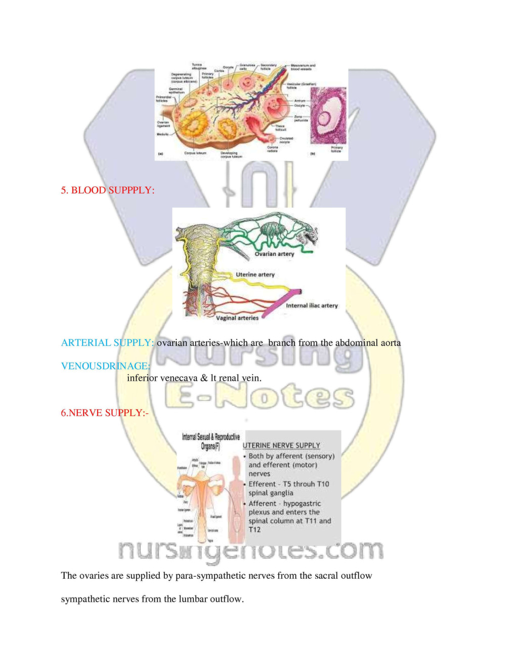 Anatomy And Physiology Of Female Reproductive System