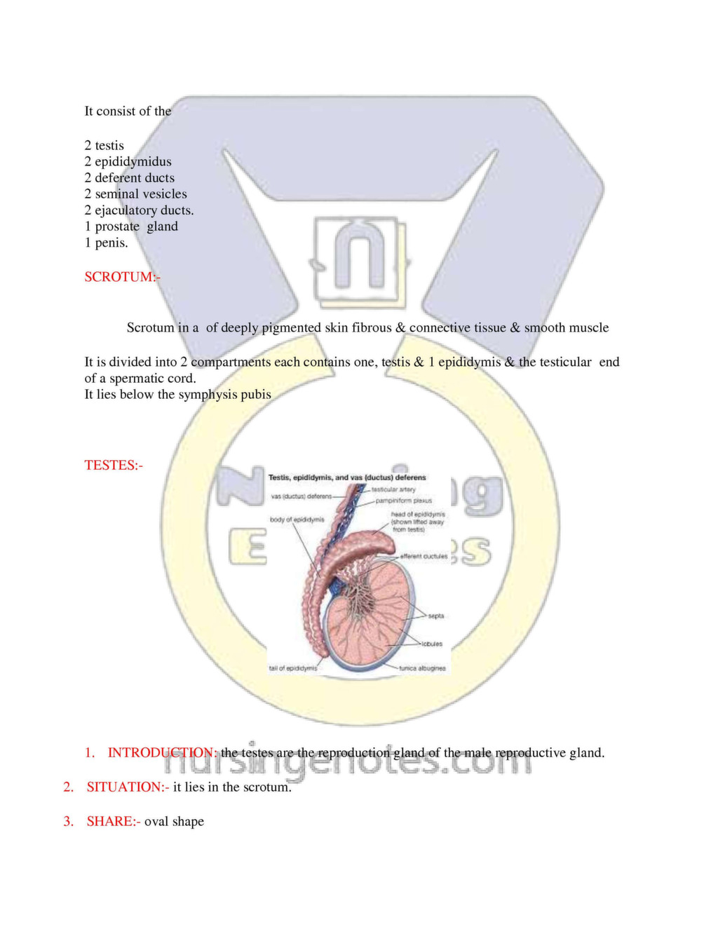 anatomy of female reproductive system notes pdf