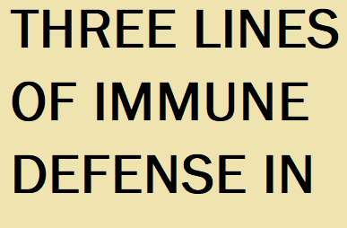 THREE LINES OF IMMUNE DEFENSE IN THE BODY