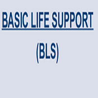 basic life support procedures and guidelines