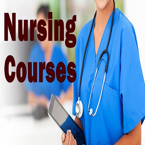 Nursing Course Fees Eligibility - BSC NursingNotes