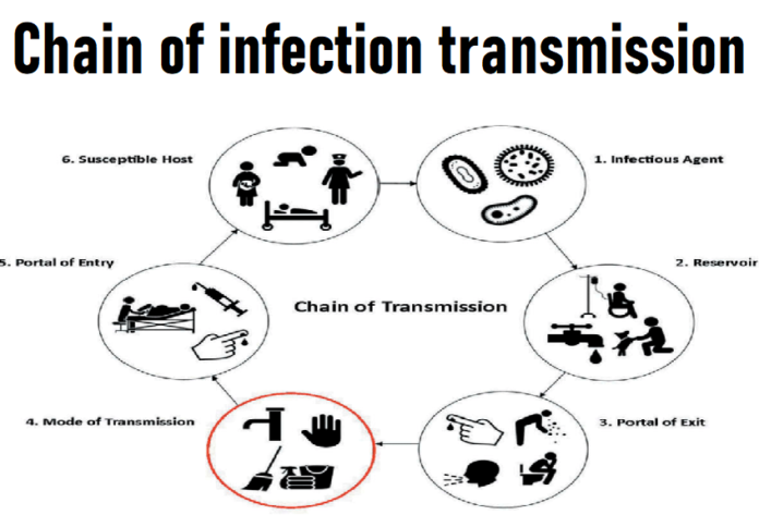 Chain of infection transmission - NursingNotes