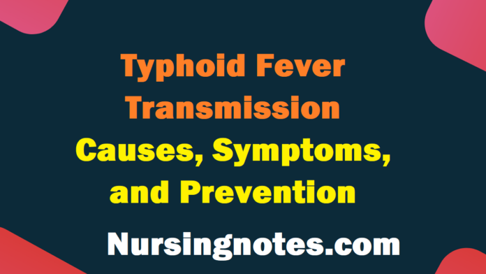 Typhoid Fever Transmission Causes, Symptoms, and Prevention