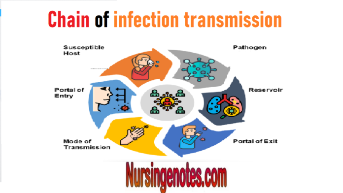 Chain of infection transmission