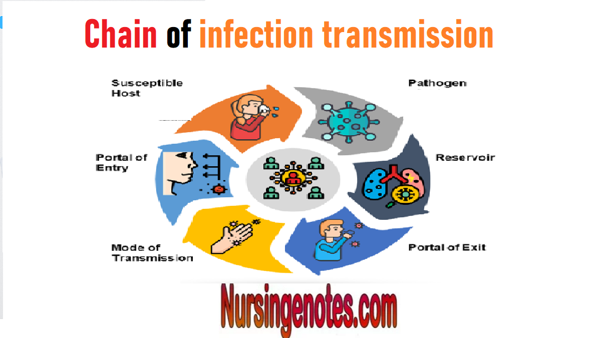 Chain Of Infection Transmission - NursingNotes