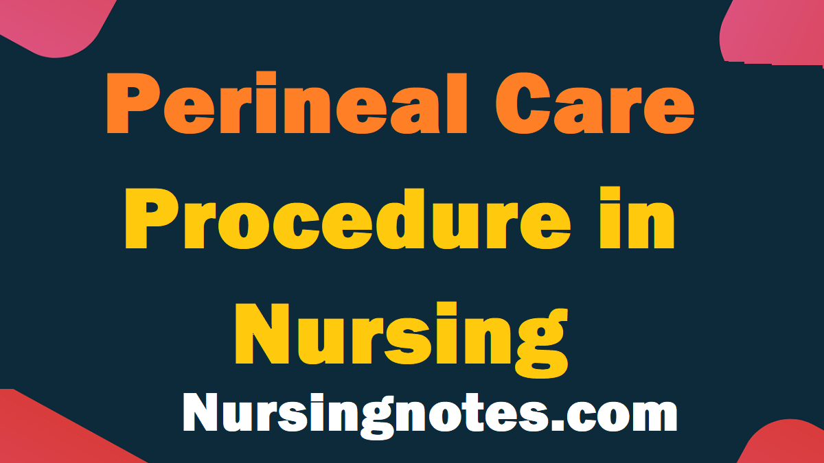 Perineal Care Procedure in Nursing NursingNotes