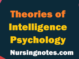 Theories of Intelligence Psychology