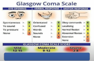 Nursing Care Plan For an Unconscious Patient : A Comprehensive Guide ...