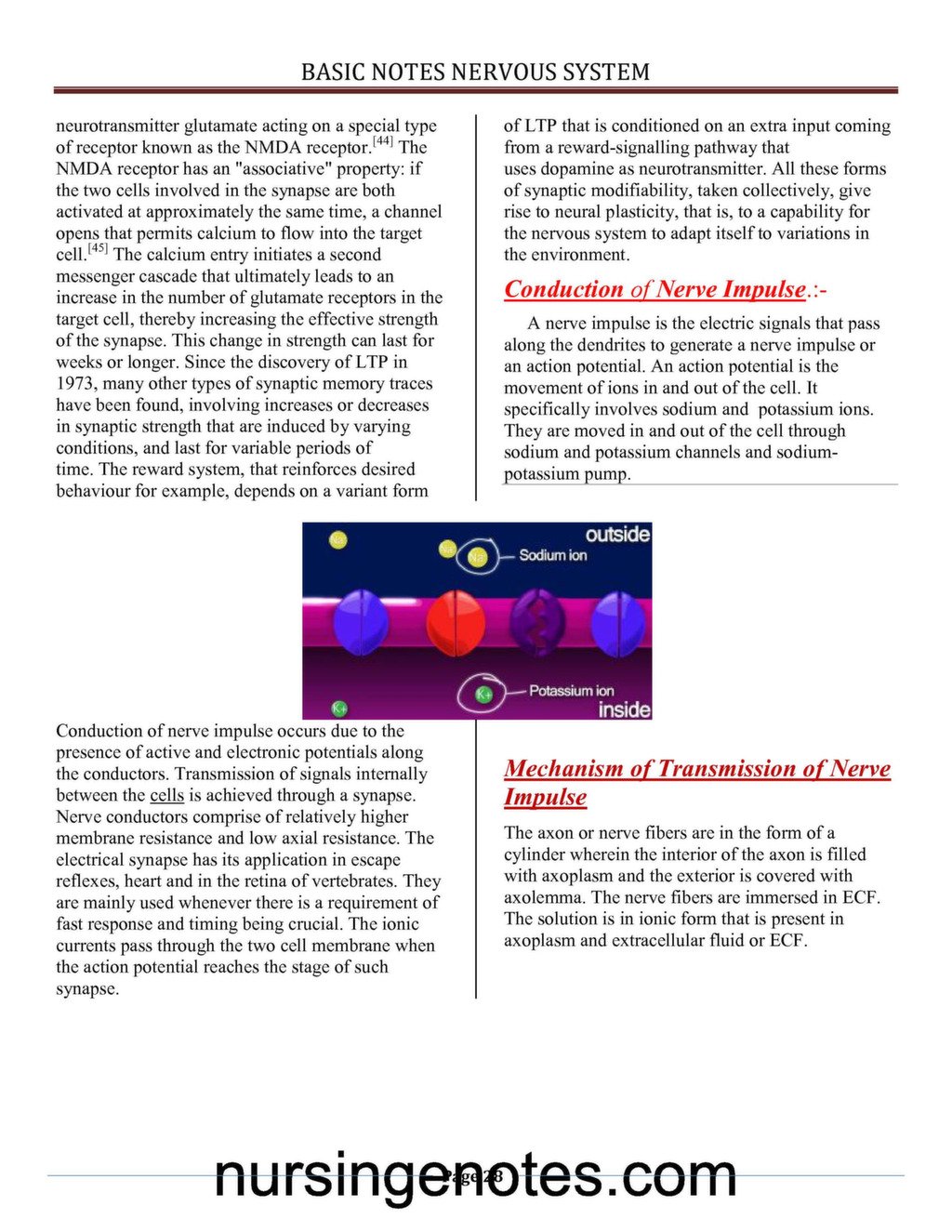 Structure and Function Nervous System PDF - NursingNotes