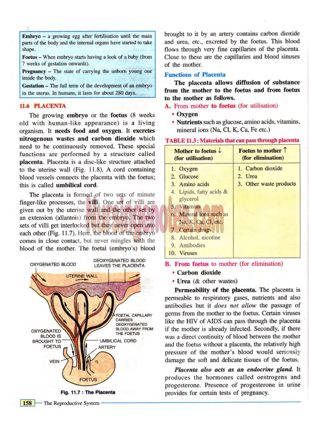 Reproductive System Nursing Notes PDF - NursingNotes