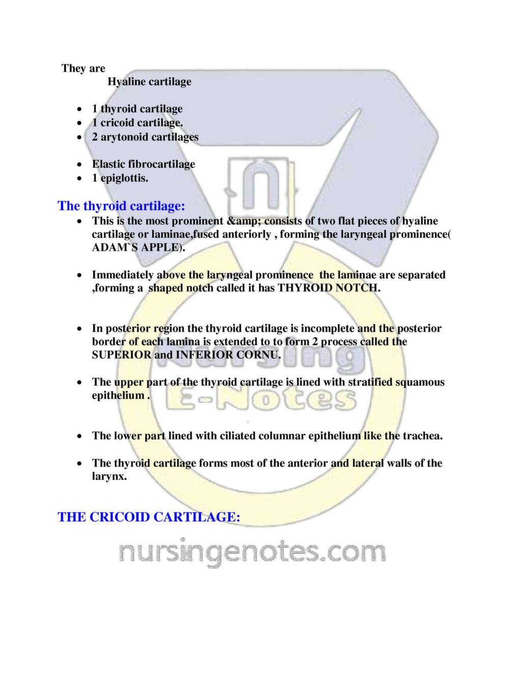 Human Respiratory System Nursing Pdf - NursingNotes