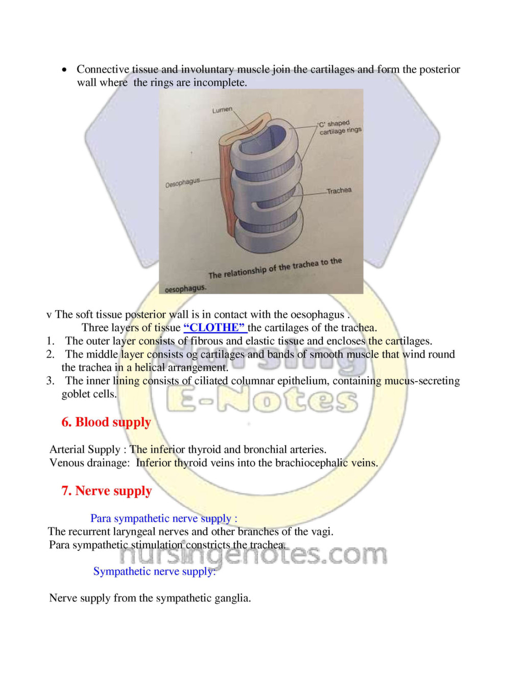 Human Respiratory System Nursing Pdf - NursingNotes