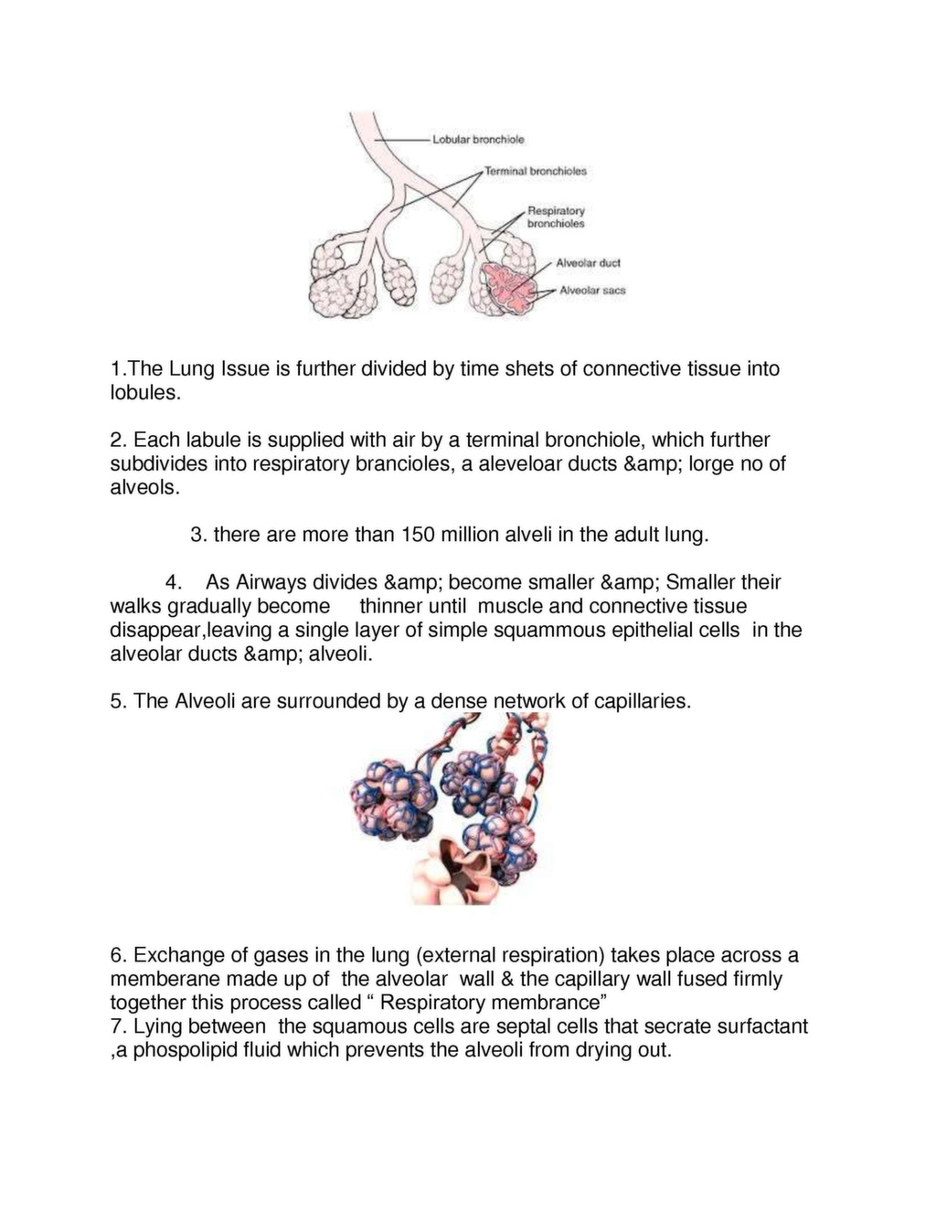 Human Respiratory System Nursing pdf - NursingNotes